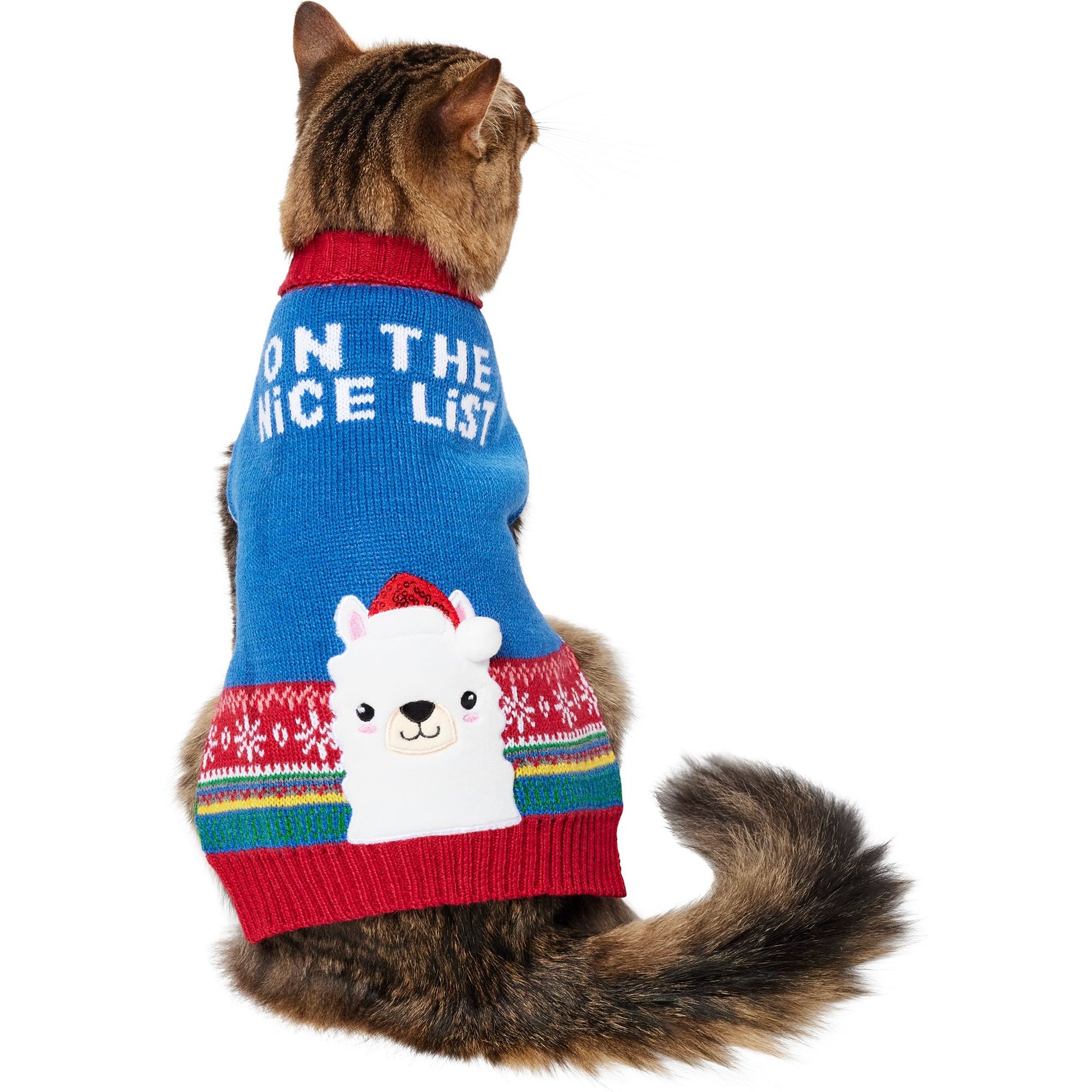 Chewy shop cat clothes