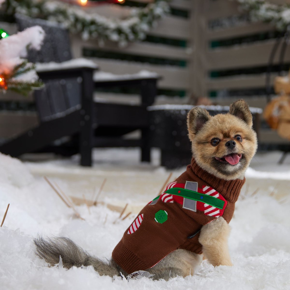 Star wars sales dog christmas sweater