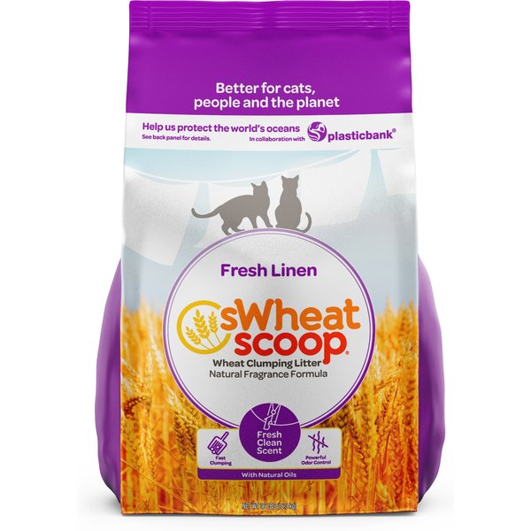 SWHEAT SCOOP Easy Maintenance Clumping WheatCorn Cat Litter, 36lb bag