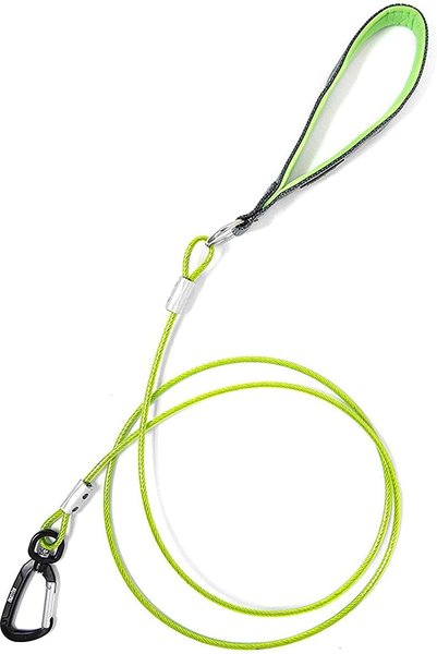 Mighty Paw Stainless Steel Chew Proof Cable Dog Leash, 6-ft long, Green slide 1 of 9