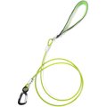 Mighty Paw Stainless Steel Chew Proof Cable Dog Leash, 6-ft long, Green