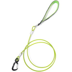 Mighty Paw Stainless Steel Chew Proof Cable Dog Leash, 6-ft long, Green