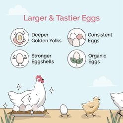 Mile Four Organic 21% Protein Mash Starter Chicken & Duck Feed, 23-lb bag slide 2 of 9