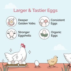 Mile Four Organic 11% Protein Scratch Chicken & Duck Treat, 23-lb bag slide 2 of 9
