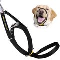 Canny No Pull Padded Dog Training Head Collar, Black, 1, Neck Size 9-11-in