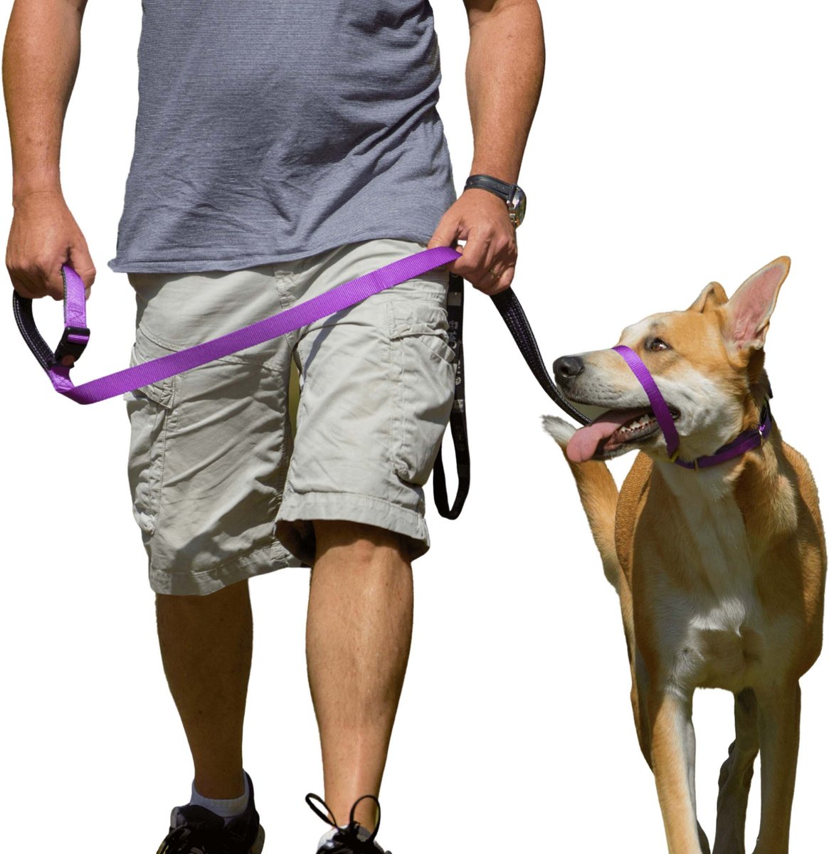 Top 5 outlet dog training collars