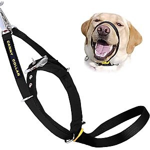 Canny No Pull Padded Dog Training Head Collar, Black, 3, Neck Size 13-15-in