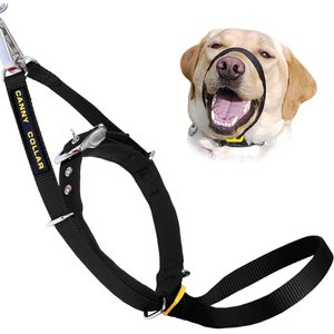 Canny No Pull Padded Dog Training Head Collar, Black, 6, Neck Size 19-21-in