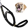 Canny No Pull Padded Dog Training Head Collar, Black, 7, Neck Size 21-23-in