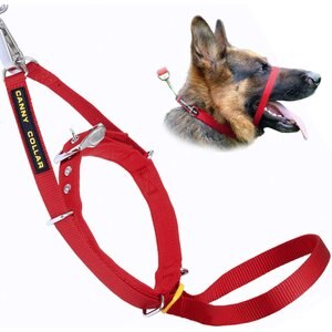 Canny No Pull Padded Dog Training Head Collar, Red, 4, Neck Size 15-17-in