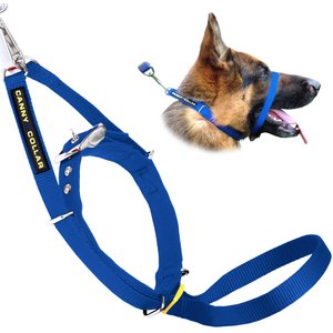 Canny No Pull Padded Dog Training Head Collar, Blue, Size 3, Neck Size 13-15-in