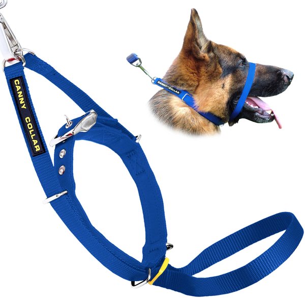 Canny No Pull Padded Dog Training Head Collar, Blue, Size 4, Neck Size 15-17-in slide 1 of 9