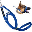 Canny No Pull Padded Dog Training Head Collar, Blue, 5, Neck Size 17-19-in