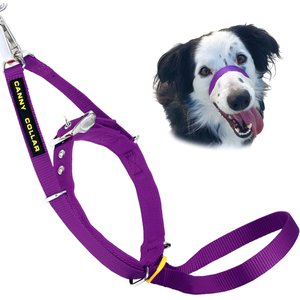 Canny No Pull Padded Dog Training Head Collar, Purple, 3, Neck Size 13-15-in