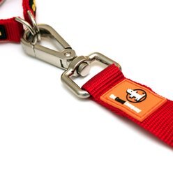 Canny Standard Dog Leash for use with Canny Collar, Black, 1-in wide slide 2 of 4