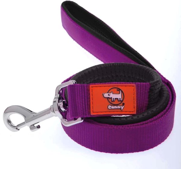 Canny Standard Dog Leash for use with Canny Collar, Purple, 1-in wide slide 1 of 5