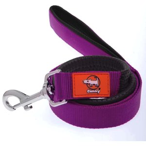 Canny Standard Dog Leash for use with Canny Collar, Purple, 0.5-in wide
