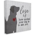 Stupell Industries Love is How Excited Your Dog Is Dog Wall Décor, Canvas, 17 x 1.5 x 17-in