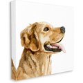 Stupell Industries Watercolor Labrador Portrait Dog Wall Décor, Canvas, 17 x 1.5 x 17-in