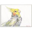 STUPELL INDUSTRIES Cockatiel Bird Wall Decor, Wood