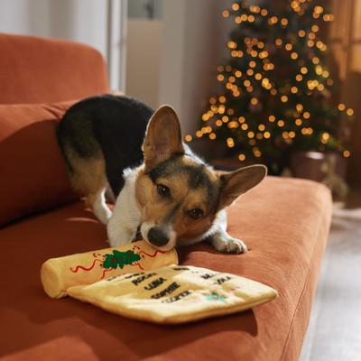 Show full view: Frisco Holiday Santa's List Plush & TPR Inside Dog Toy, Medium slide 3 of 7