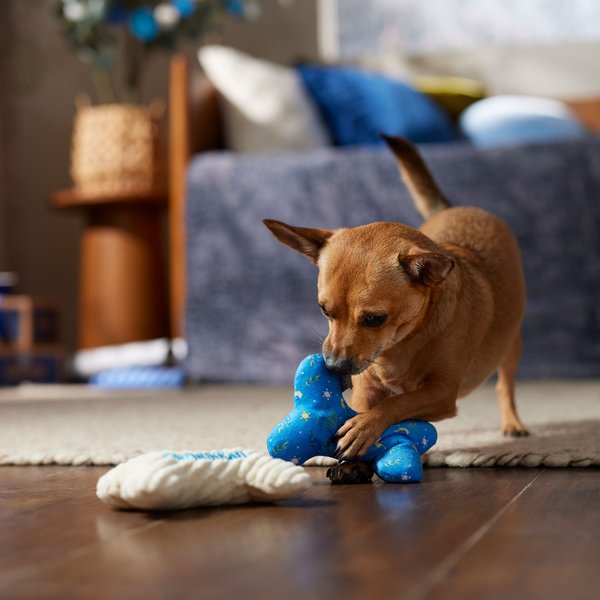 Happy hanukkah dog toy