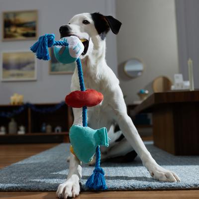 Show full view: Frisco Hanukkah Celebration Plush with Rope Squeaky Dog Toy, Large/X-Large slide 3 of 7