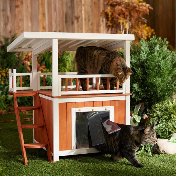 FRISCO Outdoor Wooden Cat House with Balcony & Step Ladder, Brown -  