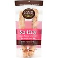 Earth Animal No-Hide Long Lasting Natural Rawhide Alternative Salmon Recipe Large Chew Dog Treats, 2 count