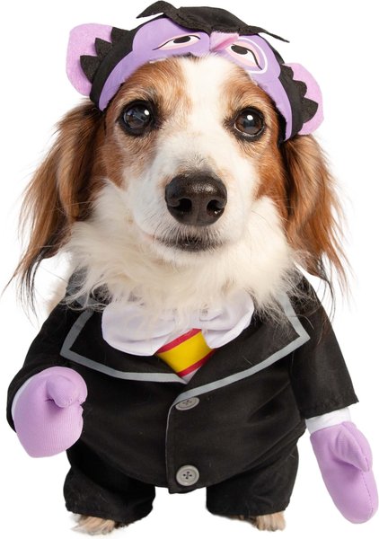 Pet Krewe Sesame Street The Count Dog Costume, Small slide 1 of 7