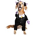 Pet Krewe Sesame Street The Count Dog Costume, X-Large