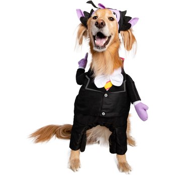 Dog Halloween Costumes & Clothing - Page 2 (Free Shipping) | Chewy