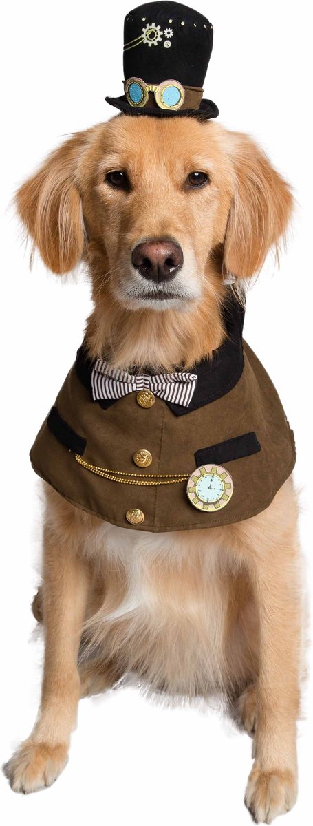 Pet Krewe Steam Punk Dog Costume