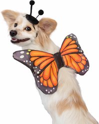 Pet Krewe Monarch Butterfly Orange Wings Dog Costume, One Size