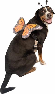 Show full view: Pet Krewe Monarch Butterfly Orange Wings Dog Costume, One Size slide 3 of 8