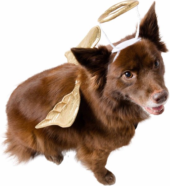 Pet Krewe Angel Wings Gold Dog Costume, One Size slide 1 of 7