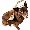 Pet Krewe Angel Wings Gold Dog Costume, One Size