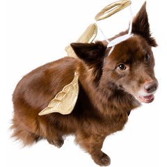 Pet Krewe Angel Wings Gold Dog Costume, One Size