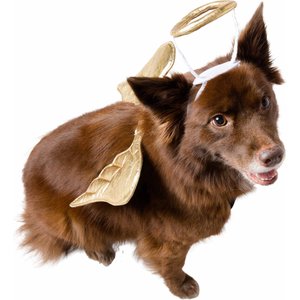 In a Pinch? Here are 9 Super Simple DIY Dog Costumes for Halloween.