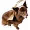 Show in main carousel: Pet Krewe Angel Wings Gold Dog Costume, One Size slide 1 of 8