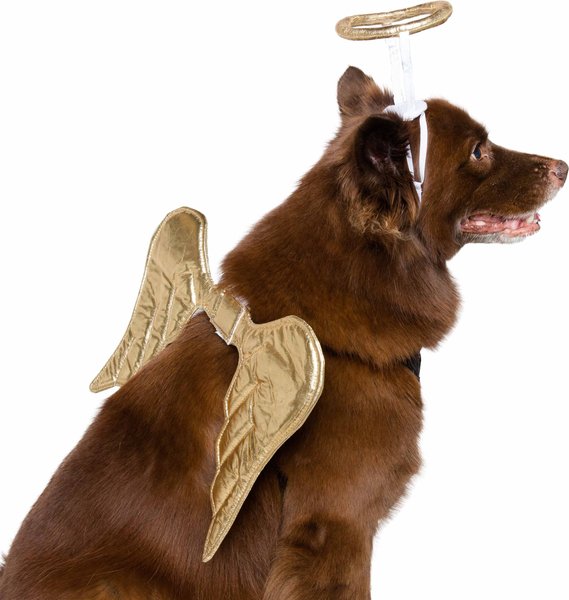 Pet Krewe Angel Wings Gold Dog Costume, One Size