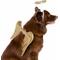 Show in main carousel: Pet Krewe Angel Wings Gold Dog Costume, One Size slide 2 of 8