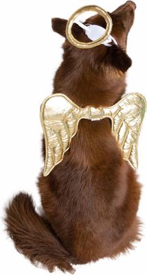 Show full view: Pet Krewe Angel Wings Gold Dog Costume, One Size slide 3 of 8
