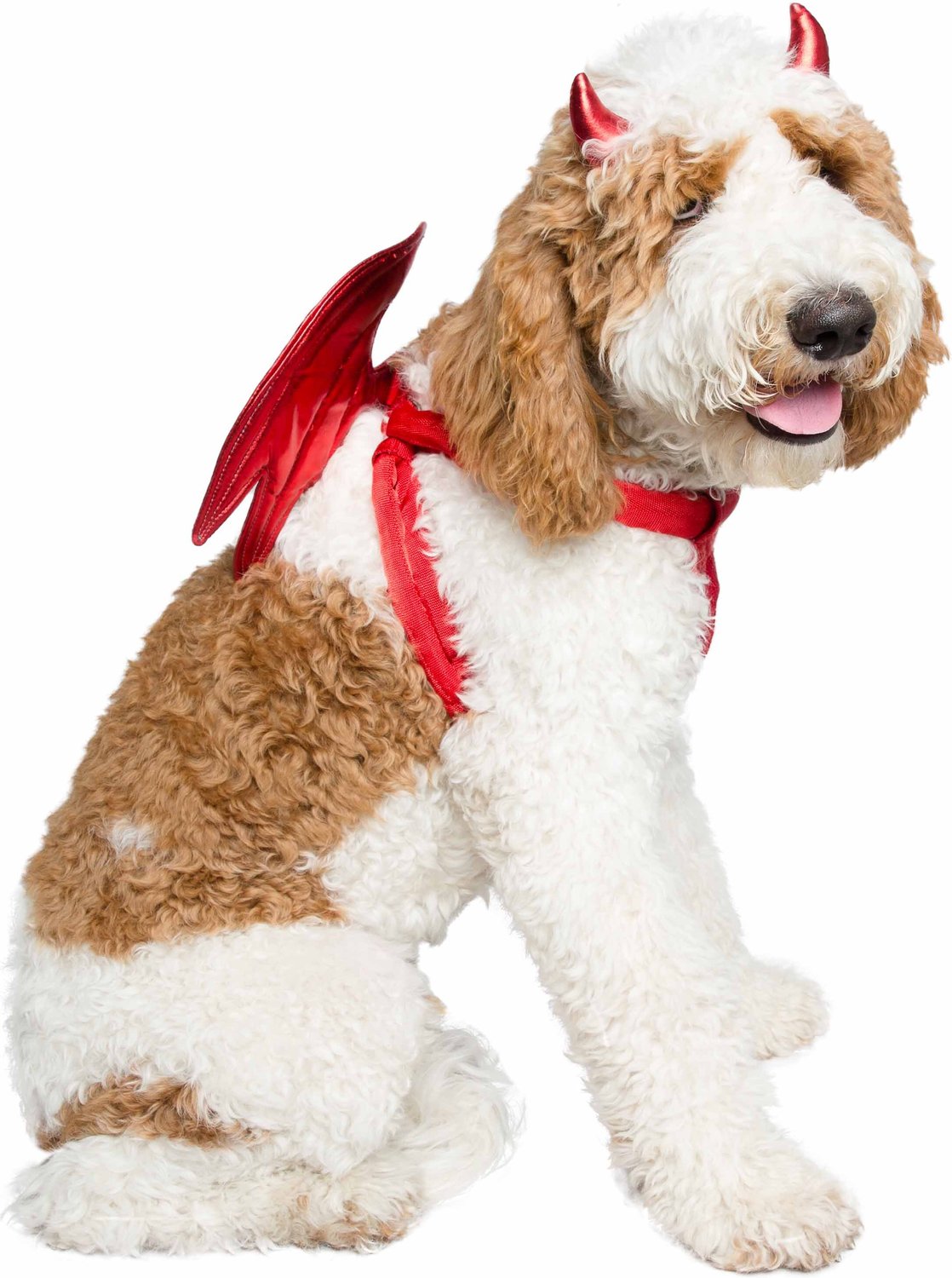 Rubies Devil Wings Pet Costume : Target