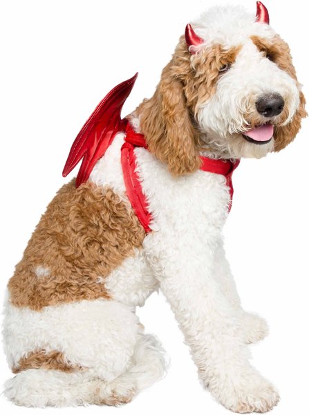 Pet Krewe Devil Red Wings Dog Costume, One Size slide 1 of 7