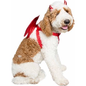 5 DIY dog Halloween costume ideas and safety tips - Sydney Wide