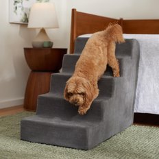 Dog Stairs, Pet Steps & Ramps: Indoor & Car (Free Shipping) | Chewy