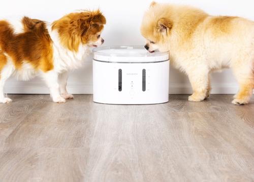 Show full view: INSTACHEW Puresmart Water Fountain App Enabled Drinking Smart Automatic Pet Fountain for Dogs & Cats, White, 84-oz slide 7 of 11