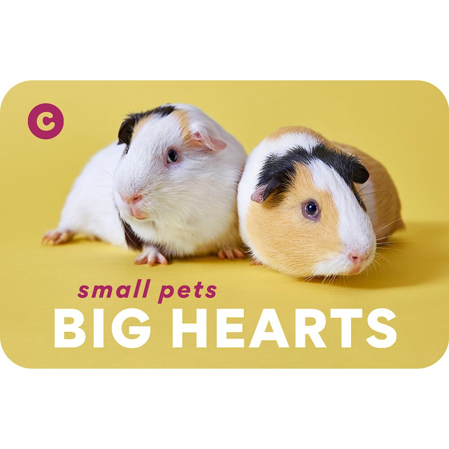 Chewy eGift Card, Small Pets Big Hearts, $500