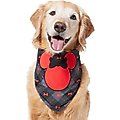 Disney Minnie Mouse Plaid Dog & Cat Bandana, Medium/Large